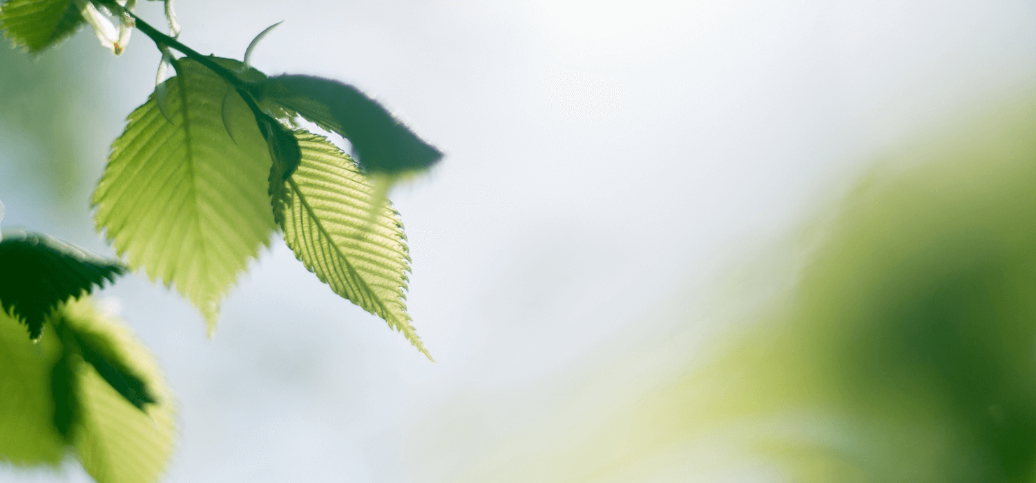 Floor Plans of Bird Creek Apartments in Wautoma, WI